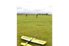 Profile Cardinal. Photo:  Stephen White