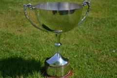 The Wharfedale Tropy