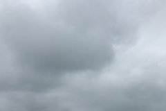 Pete Tindal back and on form