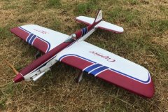 Caprice built by Glen Alison