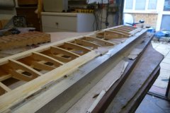 Long shot of jigged wing